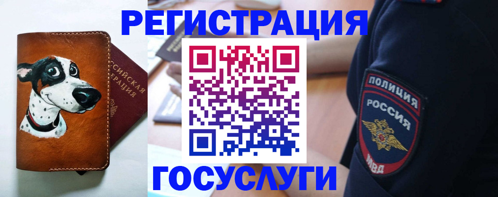 временная регистрация в квартире в Грозном